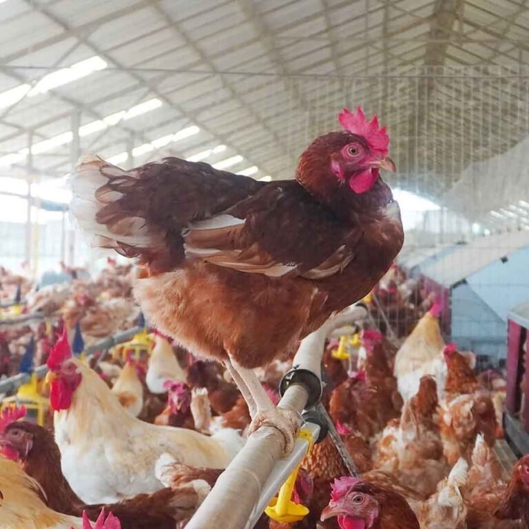 304901478_213172924368497_3257463139633149168_n