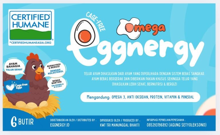Eggnergy 6 butir