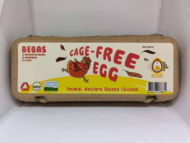 IMG_20250925_145326 (1)