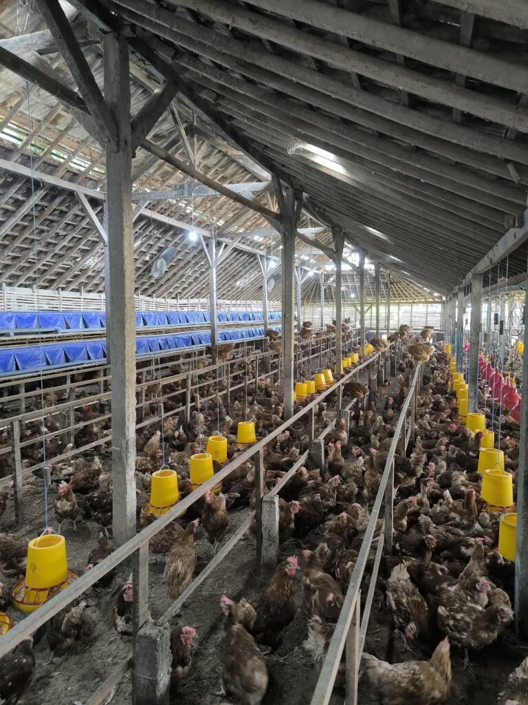 WhatsApp Image 2025-02-17 at 09.43.03 (1)