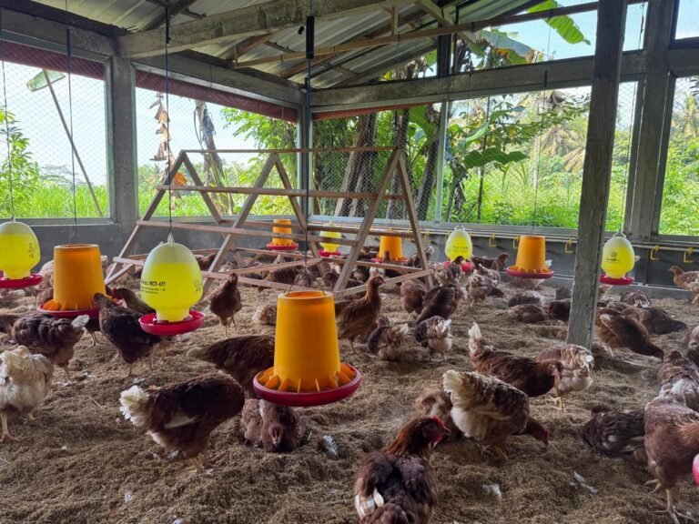 WhatsApp Image 2025-02-24 at 10.57.05