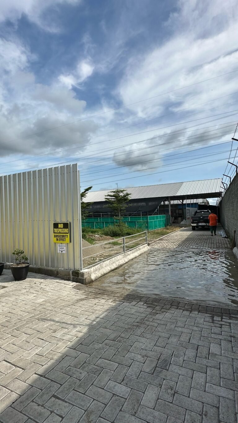 WhatsApp Image 2025-08-06 at 11.00.01