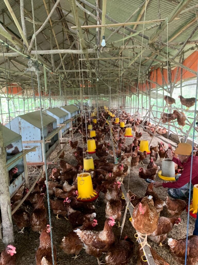 WhatsApp Image 2025-08-06 at 15.49.13