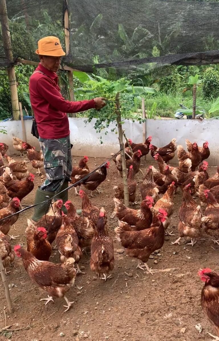 WhatsApp Image 2025-08-06 at 15.49.31