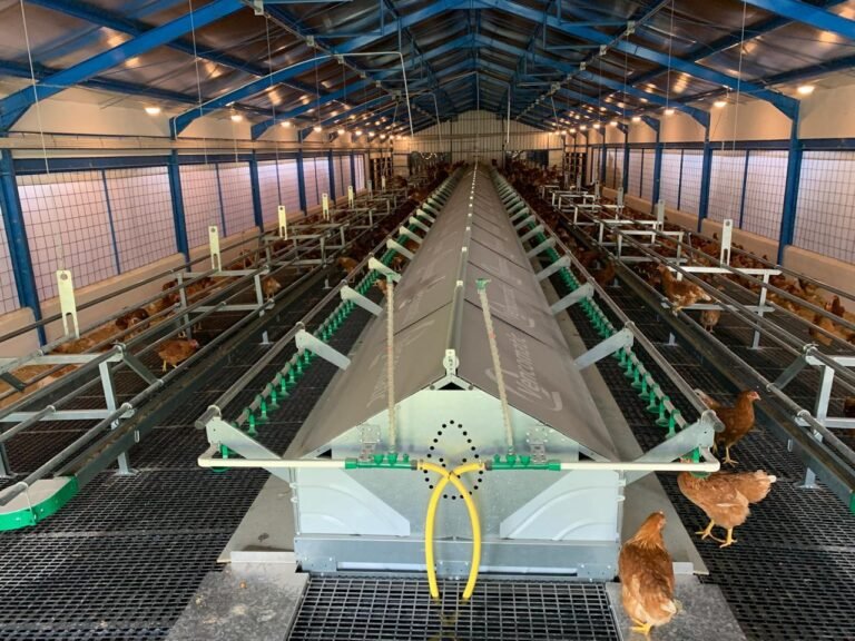 WhatsApp Image 2025-08-06 at 15.55.05 (1)