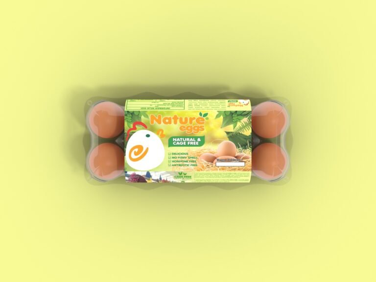 WhatsApp Image 2025-10-16 at 09.15.07