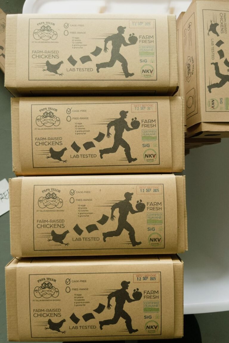 WhatsApp Image 2025-10-16 at 16.50.14