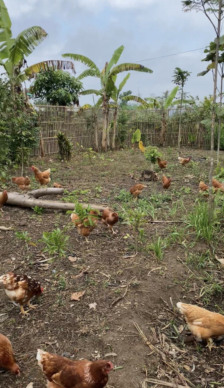 WhatsApp Image 2025-11-10 at 23.45.52 (1)