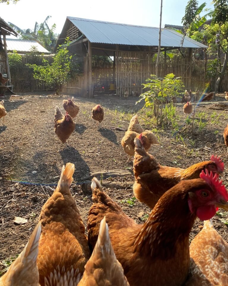 WhatsApp Image 2025-11-10 at 23.45.52