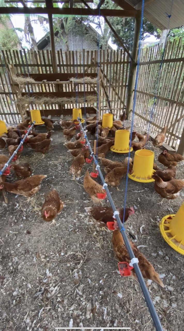 WhatsApp Image 2025-11-10 at 23.45.53