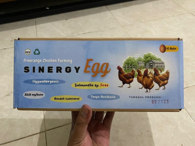 WhatsApp Image 2025-11-10 at 23.49.42