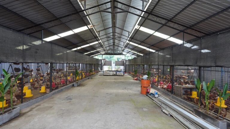 WhatsApp Image 2025-12-17 at 14.47.51