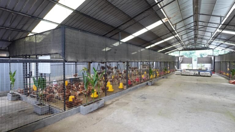 WhatsApp Image 2025-12-17 at 14.47.52