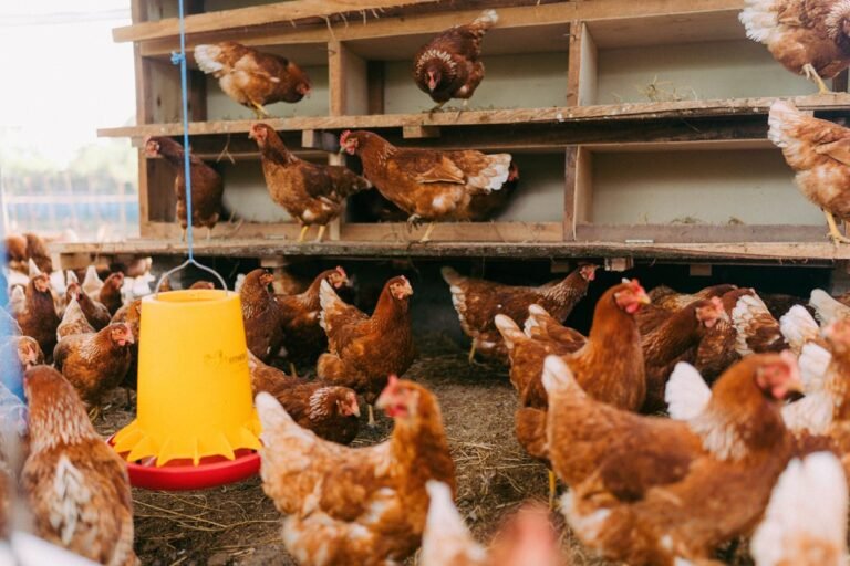 WhatsApp Image 2026-01-10 at 21.01.05