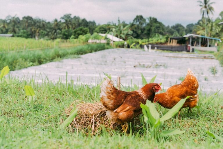 WhatsApp Image 2026-01-10 at 21.01.06