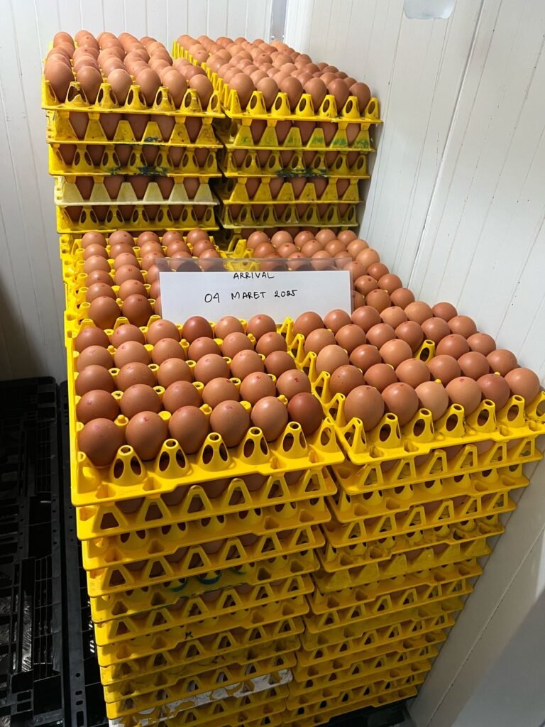 WhatsApp Image 2026-02-02 at 09.19.05 (1)