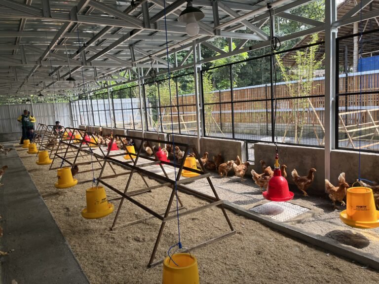 WhatsApp Image 2025-07-31 at 11.06.55 (1)