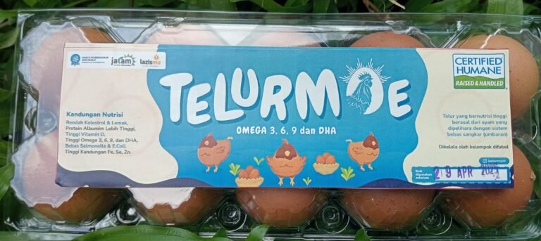 WhatsApp Image 2025-10-16 at 10.20.30