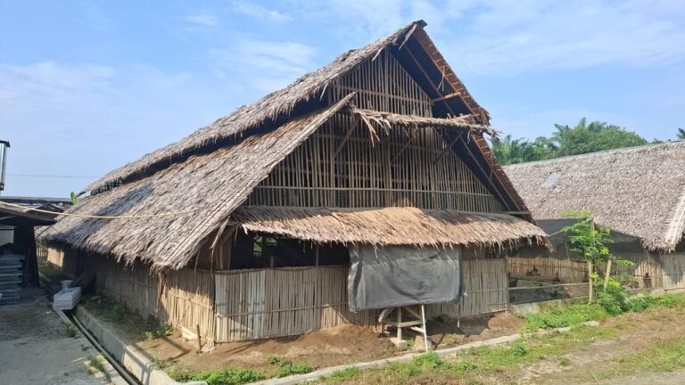 WhatsApp Image 2025-08-19 at 08.44.25