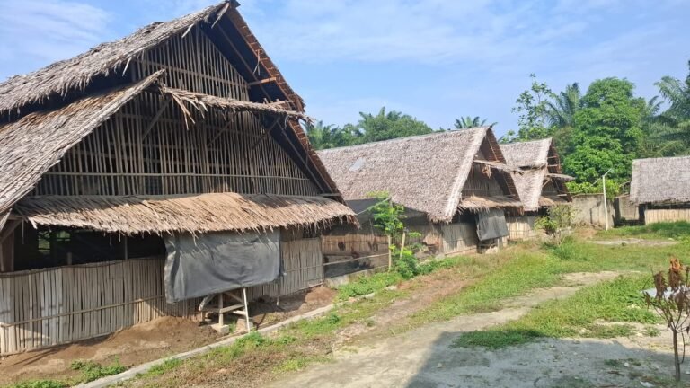 WhatsApp Image 2025-08-19 at 08.44.35