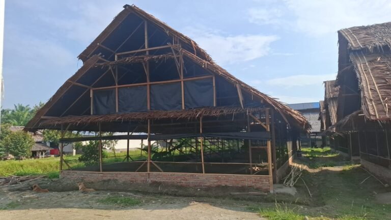 WhatsApp Image 2025-08-19 at 08.45.27