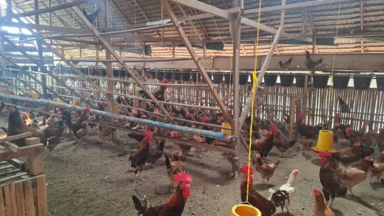 WhatsApp Image 2025-08-19 at 10.08.48