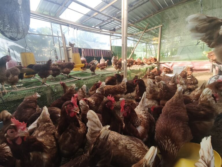 WhatsApp Image 2026-01-30 at 08.30.38