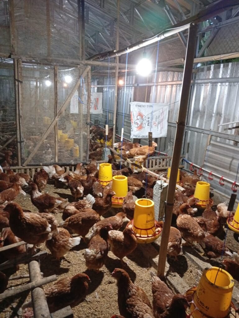 5e0ca10b-9ef6-4850-ad3e-97b41153996b