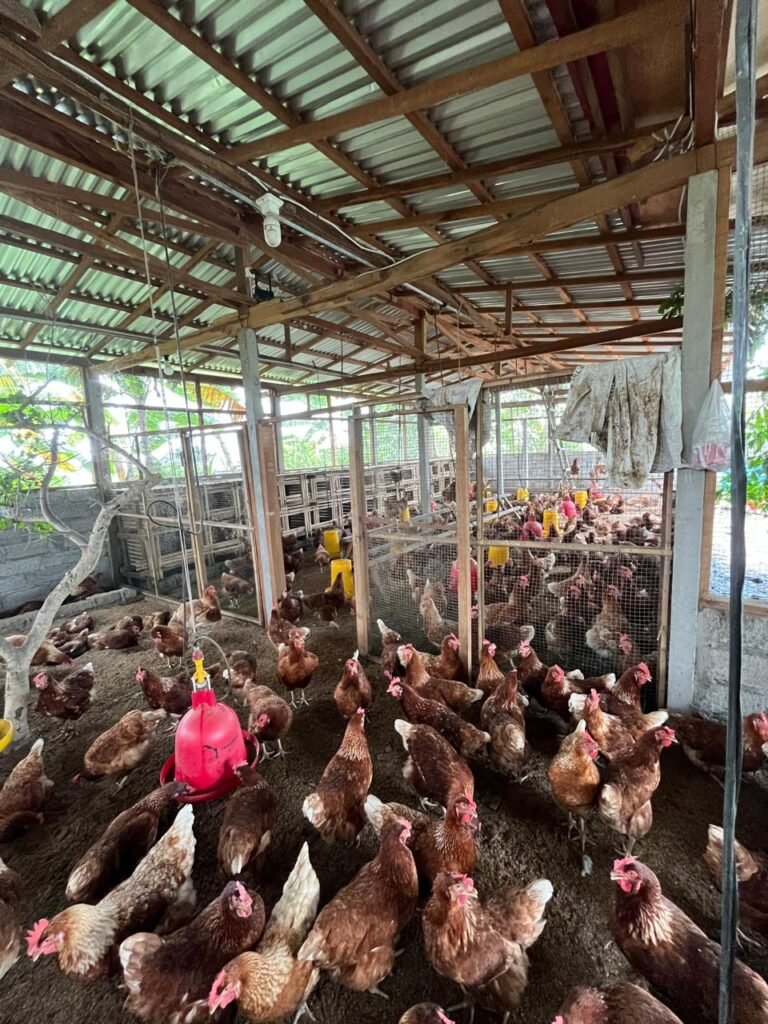 WhatsApp Image 2025-11-25 at 13.56.00