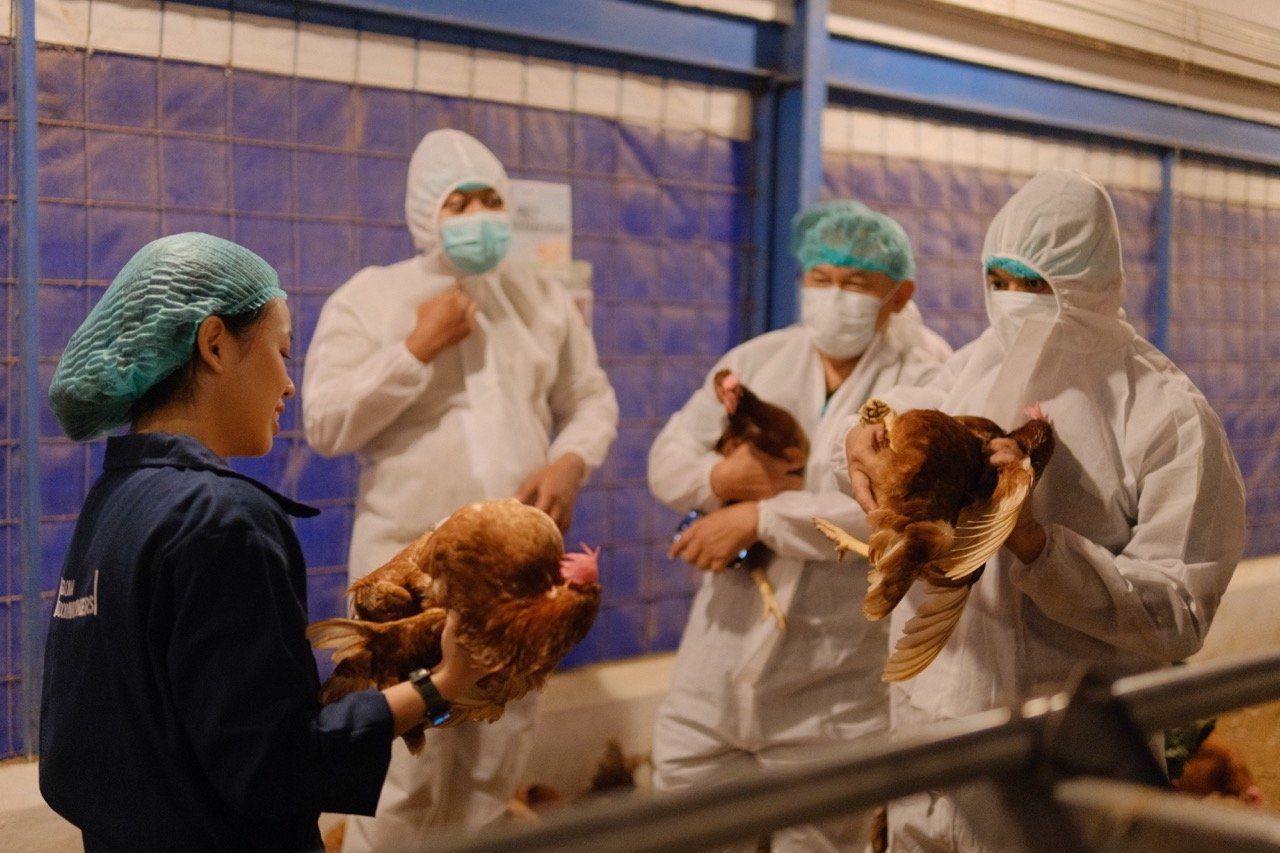 Training Nasional Beternak Bebas Sangkar Batch #1