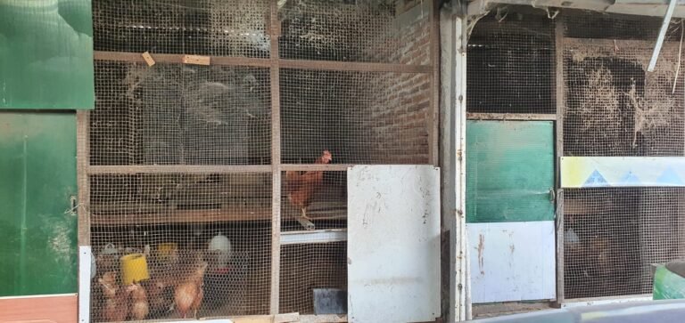 WhatsApp Image 2026-01-08 at 09.05.35 (1)