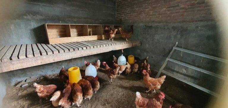 WhatsApp Image 2026-01-08 at 09.05.50