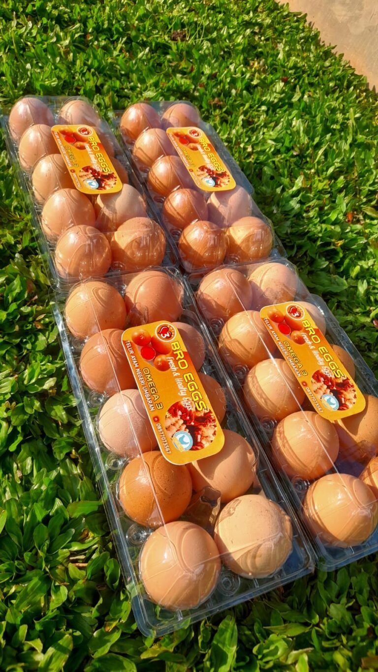 WhatsApp Image 2026-01-16 at 08.44.11