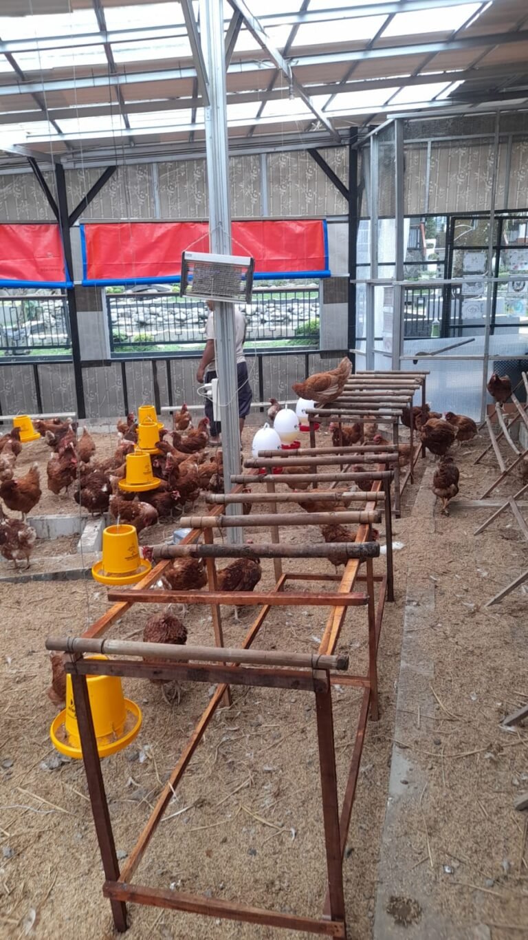 WhatsApp Image 2026-01-19 at 09.07.31