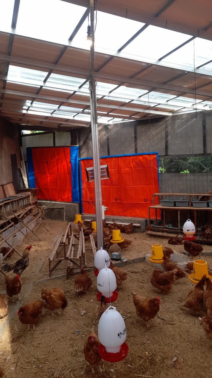 WhatsApp Image 2026-01-19 at 09.07.33