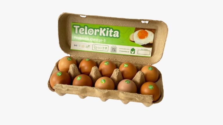 WhatsApp Image 2026-01-21 at 05.43.47 (1)