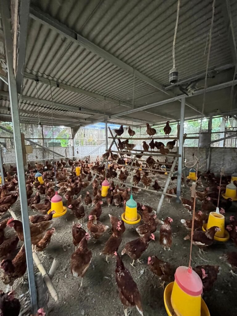 WhatsApp Image 2026-01-30 at 14.11.56