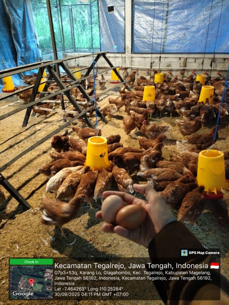 WhatsApp Image 2026-04-20 at 15.19.15 (1)