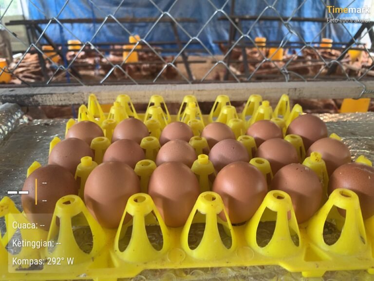 WhatsApp Image 2026-04-20 at 15.19.15 (2)