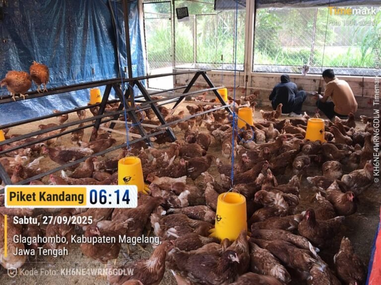 WhatsApp Image 2026-04-20 at 15.19.15