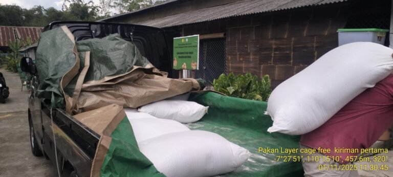 WhatsApp Image 2026-04-20 at 15.19.16