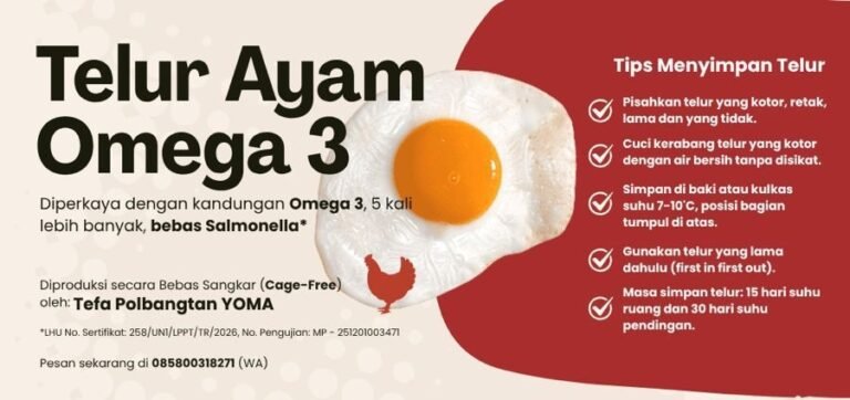 WhatsApp Image 2026-04-20 at 15.20.17