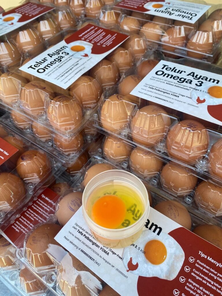 WhatsApp Image 2026-04-20 at 15.21.21