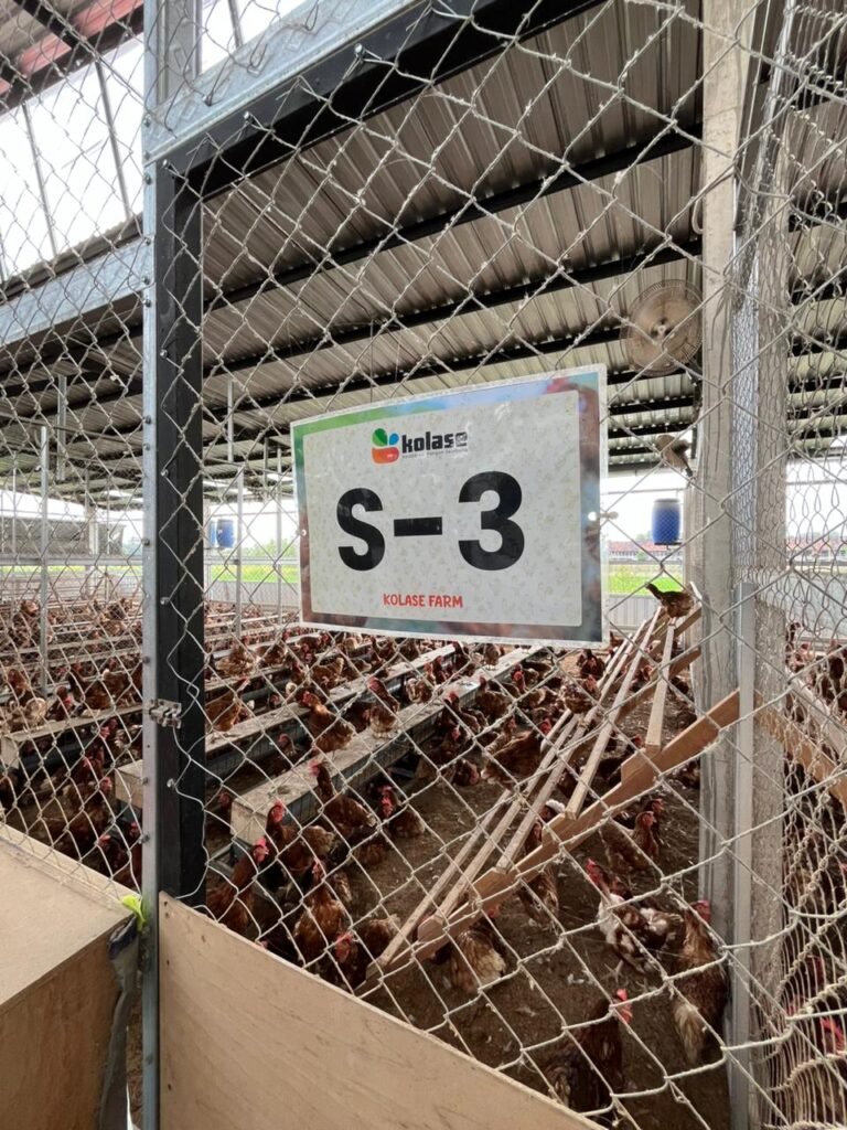 WhatsApp Image 2026-04-20 at 15.58.21 (3)