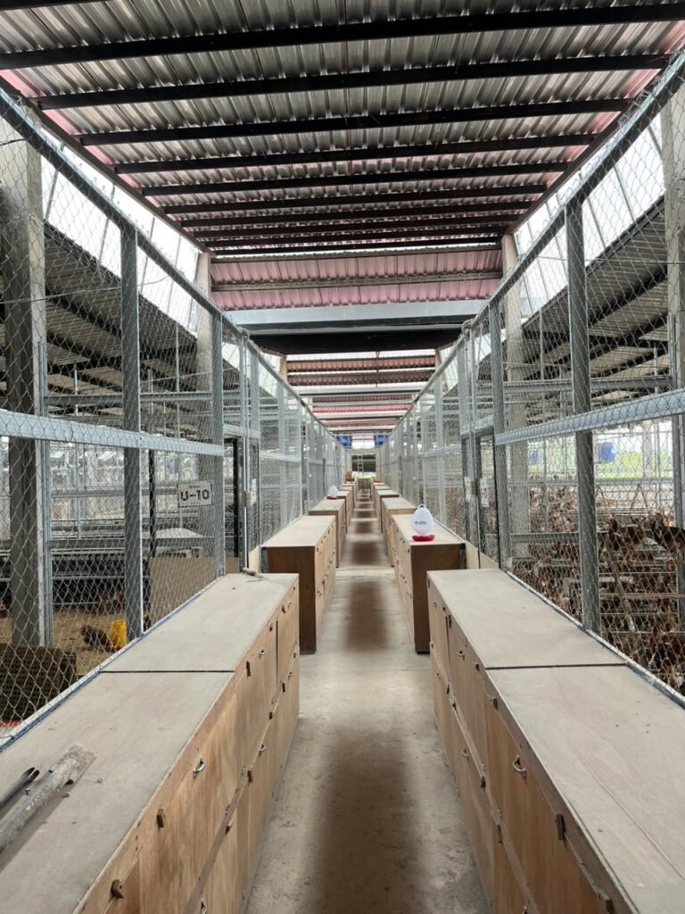 WhatsApp Image 2026-04-20 at 15.58.22 (1)