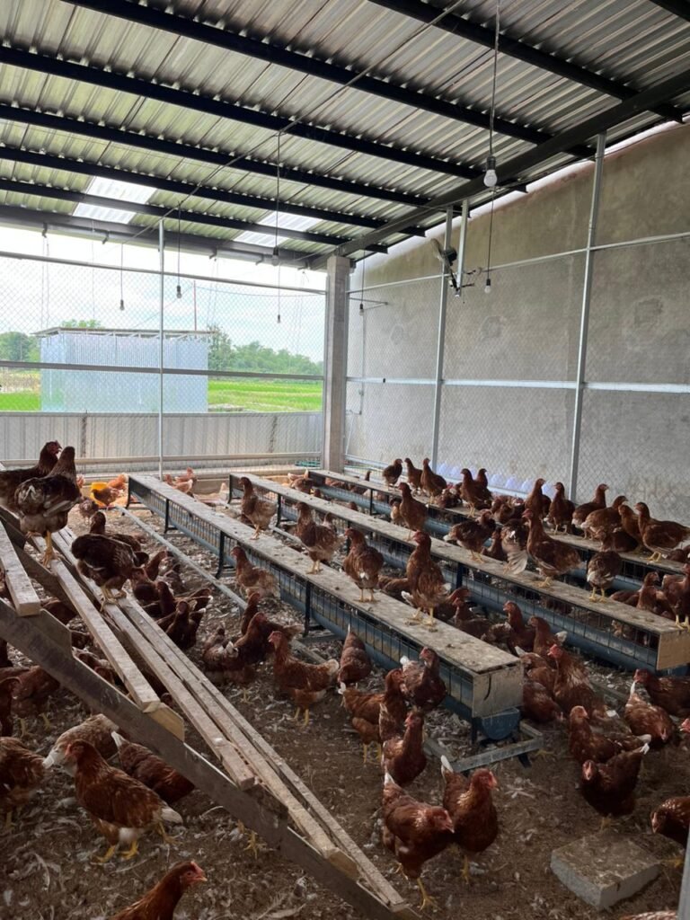 WhatsApp Image 2026-04-20 at 15.58.22 (2)