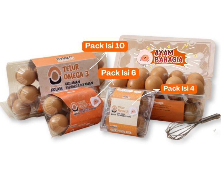 WhatsApp Image 2026-04-20 at 16.08.04