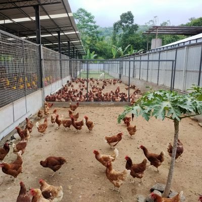 WhatsApp Image 2025-09-09 at 13.09.38