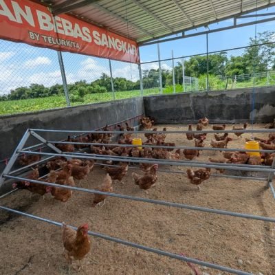 WhatsApp Image 2025-10-29 at 16.02.33