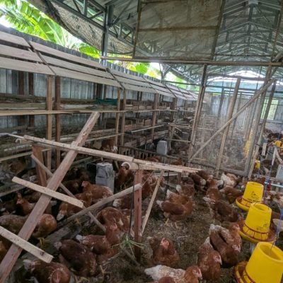 WhatsApp Image 2025-10-30 at 14.34.21 (1)